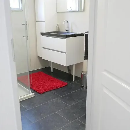 Chalet Nr 48 In Putten *